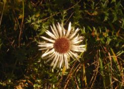 2013-10-20_Wank (145)b.JPG
